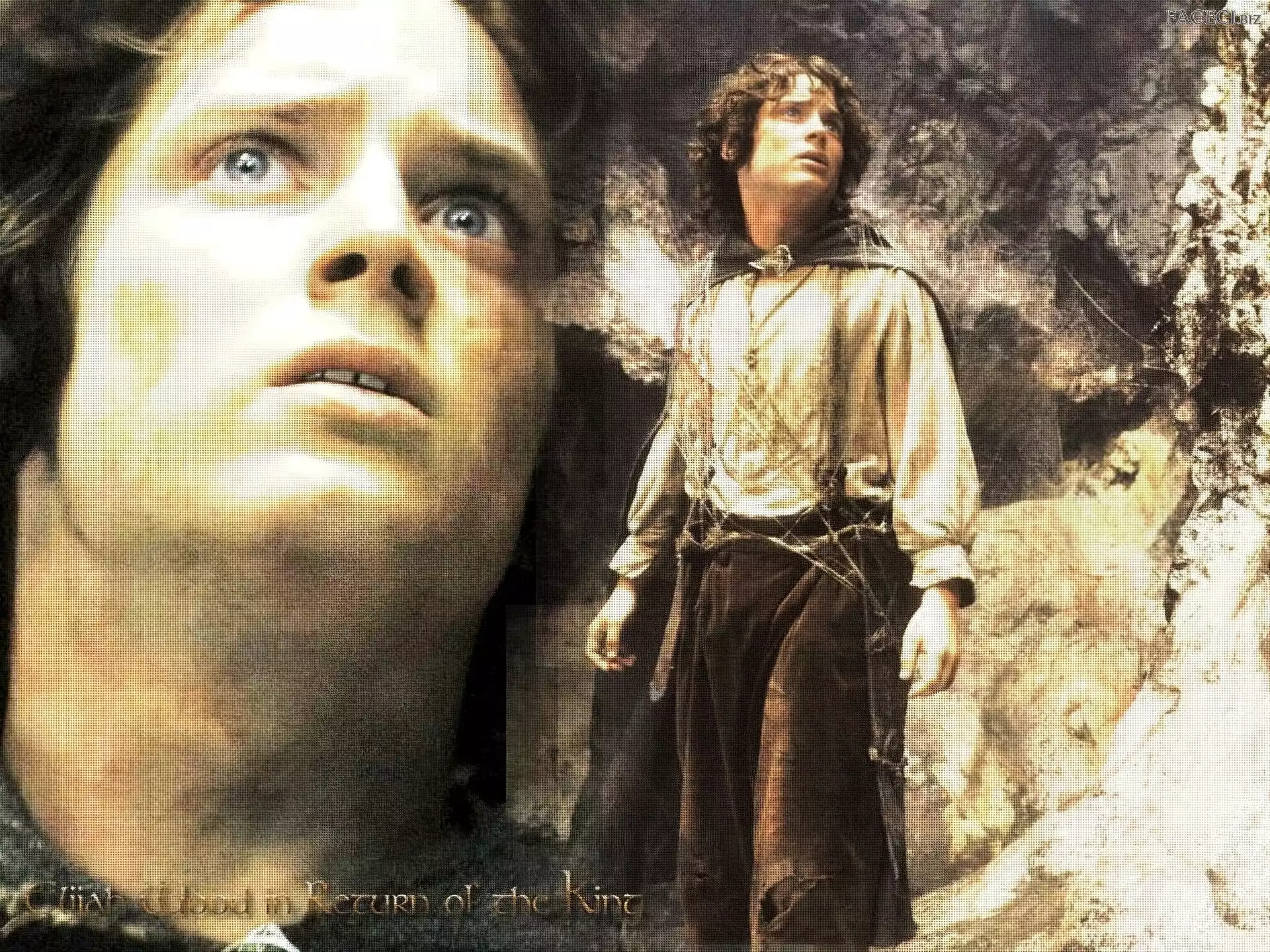 spojrzenie, Elijah Wood, oczy